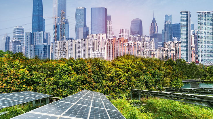 Les leaders des énergies renouvelables